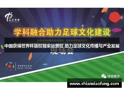 中国获得世界杯版权独家运营权 助力足球文化传播与产业发展